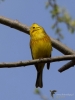 Filename=174_fotowilga~51.JPG
Filesize=216KB
Dimensions=525x700
Date added=Jun 26, 2019 174_fotowilga~51.JPG