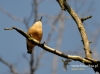 Filename=175_fotowilga~17.JPG
Filesize=85KB
Dimensions=640x475
Date added=Jan 15, 2016 175_fotowilga~17.JPG