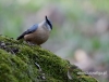 Filename=175_fotowilga~34.JPG
Filesize=84KB
Dimensions=624x480
Date added=Mar 15, 2017 175_fotowilga~34.JPG