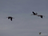 175_fotowilga~44.JPG