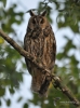 Filename=175_fotowilga~45.JPG
Filesize=257KB
Dimensions=519x700
Date added=Mar 23, 2018 175_fotowilga~45.JPG