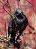 Filename=175_fotowilga~46.JPG
Filesize=296KB
Dimensions=525x700
Date added=Apr 10, 2018 175_fotowilga~46.JPG