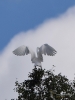 Filename=175_fotowilga~56.JPG
Filesize=257KB
Dimensions=525x700
Date added=Sep 18, 2019 175_fotowilga~56.JPG