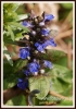 175_fotowilga~7.JPG