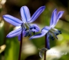 Filename=176_fotowilga~30.JPG
Filesize=79KB
Dimensions=553x480
Date added=Mar 20, 2017 176_fotowilga~30.JPG