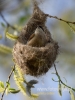 Filename=176_fotowilga~31.JPG
Filesize=64KB
Dimensions=360x480
Date added=Apr 10, 2017 176_fotowilga~31.JPG