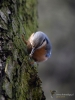 Filename=176_fotowilga~42.JPG
Filesize=247KB
Dimensions=525x700
Date added=Jan 22, 2018 176_fotowilga~42.JPG