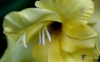 Filename=176_fotowilga~53.JPG
Filesize=170KB
Dimensions=700x434
Date added=Nov 24, 2019 176_fotowilga~53.JPG