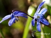 Filename=177_fotowilga~29.JPG
Filesize=89KB
Dimensions=634x480
Date added=Mar 20, 2017 177_fotowilga~29.JPG