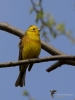 Filename=177_fotowilga~47.JPG
Filesize=215KB
Dimensions=525x700
Date added=Jun 30, 2019 177_fotowilga~47.JPG
