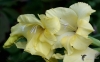 Filename=177_fotowilga~50.JPG
Filesize=185KB
Dimensions=700x440
Date added=Nov 25, 2019 177_fotowilga~50.JPG