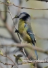 Filename=178_fotowilga~21.JPG
Filesize=70KB
Dimensions=343x480
Date added=Apr 19, 2016 178_fotowilga~21.JPG