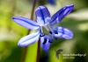 Filename=178_fotowilga~33.JPG
Filesize=78KB
Dimensions=640x456
Date added=Mar 20, 2017 178_fotowilga~33.JPG
