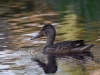 Filename=178_fotowilga~50.JPG
Filesize=296KB
Dimensions=700x525
Date added=Jan 10, 2019 178_fotowilga~50.JPG
