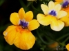 Filename=178_fotowilga~51.JPG
Filesize=241KB
Dimensions=700x525
Date added=Jan 17, 2019 178_fotowilga~51.JPG