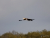 Filename=178_fotowilga~59.JPG
Filesize=175KB
Dimensions=700x525
Date added=Nov 18, 2019 178_fotowilga~59.JPG