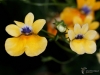 Filename=179_fotowilga~51.JPG
Filesize=213KB
Dimensions=700x525
Date added=Jan 17, 2019 179_fotowilga~51.JPG
