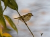Filename=179_fotowilga~52.JPG
Filesize=218KB
Dimensions=700x525
Date added=Feb 11, 2019 179_fotowilga~52.JPG