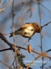 Filename=180_fotowilga~15.JPG
Filesize=74KB
Dimensions=357x480
Date added=Dec 22, 2015 180_fotowilga~15.JPG