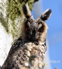 Filename=181_fotowilga~34.JPG
Filesize=89KB
Dimensions=436x480
Date added=Mar 27, 2017 181_fotowilga~34.JPG