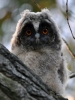 Filename=181_fotowilga~46.JPG
Filesize=276KB
Dimensions=525x700
Date added=Mar 23, 2018 181_fotowilga~46.JPG