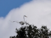 Filename=181_fotowilga~56.JPG
Filesize=261KB
Dimensions=700x525
Date added=Sep 18, 2019 181_fotowilga~56.JPG