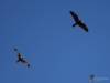 Filename=181_fotowilga~58.JPG
Filesize=190KB
Dimensions=700x525
Date added=Jan 24, 2020 181_fotowilga~58.JPG