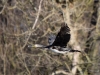 Filename=182_fotowilga~19.JPG
Filesize=277KB
Dimensions=700x525
Date added=Apr 18, 2019 182_fotowilga~19.JPG