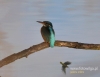 Filename=182_fotowilga~25.JPG
Filesize=71KB
Dimensions=617x480
Date added=Mar 08, 2016 182_fotowilga~25.JPG