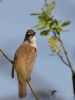 Filename=182_fotowilga~49.JPG
Filesize=193KB
Dimensions=525x700
Date added=Jun 12, 2019 182_fotowilga~49.JPG