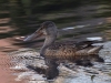 Filename=182_fotowilga~50.JPG
Filesize=308KB
Dimensions=700x525
Date added=Jul 05, 2019 182_fotowilga~50.JPG