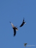 Filename=182_fotowilga~55.JPG
Filesize=181KB
Dimensions=525x700
Date added=May 12, 2020 182_fotowilga~55.JPG