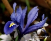 Filename=184_fotowilga~37.JPG
Filesize=100KB
Dimensions=587x480
Date added=Mar 31, 2017 184_fotowilga~37.JPG