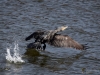 Filename=184_fotowilga~56.JPG
Filesize=326KB
Dimensions=700x525
Date added=Mar 22, 2020 184_fotowilga~56.JPG