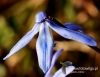 Filename=185_fotowilga~36.JPG
Filesize=85KB
Dimensions=621x480
Date added=Mar 21, 2017 185_fotowilga~36.JPG