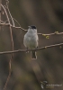 Filename=185_fotowilga~47.JPG
Filesize=270KB
Dimensions=494x700
Date added=Nov 13, 2017 185_fotowilga~47.JPG