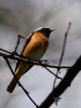Filename=185_fotowilga~54.JPG
Filesize=198KB
Dimensions=525x700
Date added=Mar 02, 2019 185_fotowilga~54.JPG