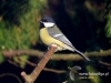 Filename=186_fotowilga~27.JPG
Filesize=73KB
Dimensions=640x480
Date added=Dec 18, 2016 186_fotowilga~27.JPG