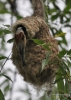 Filename=186_fotowilga~42.JPG
Filesize=262KB
Dimensions=499x700
Date added=Dec 02, 2017 186_fotowilga~42.JPG