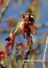 Filename=187_fotowilga~23.JPG
Filesize=76KB
Dimensions=343x480
Date added=Jan 08, 2017 187_fotowilga~23.JPG