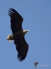 Filename=187_fotowilga~29.JPG
Filesize=204KB
Dimensions=525x700
Date added=Jun 03, 2018 187_fotowilga~29.JPG