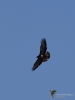 Filename=188_fotowilga~49.JPG
Filesize=163KB
Dimensions=525x700
Date added=May 25, 2020 188_fotowilga~49.JPG