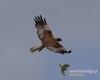 189_fotowilga~24.JPG