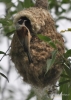 Filename=189_fotowilga~42.JPG
Filesize=249KB
Dimensions=499x700
Date added=Dec 02, 2017 189_fotowilga~42.JPG