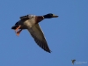 Filename=189_fotowilga~44.JPG
Filesize=193KB
Dimensions=700x525
Date added=Feb 13, 2018 189_fotowilga~44.JPG