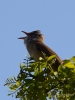 Filename=189_fotowilga~58.JPG
Filesize=232KB
Dimensions=525x700
Date added=Jun 07, 2019 189_fotowilga~58.JPG