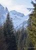 Filename=189_fotowilga~63.JPG
Filesize=339KB
Dimensions=506x700
Date added=Mar 09, 2020 189_fotowilga~63.JPG