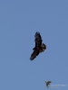 Filename=189_fotowilga~64.JPG
Filesize=173KB
Dimensions=525x700
Date added=May 14, 2020 189_fotowilga~64.JPG