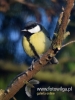 Filename=190_fotowilga~30.JPG
Filesize=58KB
Dimensions=360x480
Date added=Feb 21, 2017 190_fotowilga~30.JPG