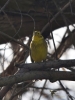 Filename=190_fotowilga~62.JPG
Filesize=226KB
Dimensions=525x700
Date added=Feb 01, 2020 190_fotowilga~62.JPG
